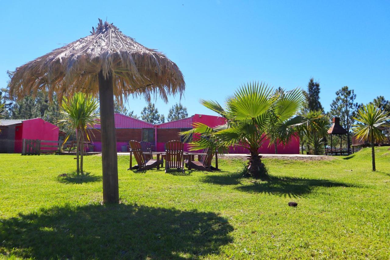 Casa De Campo Lo De Fatsia Colonia del Sacramento Zewnętrze zdjęcie
