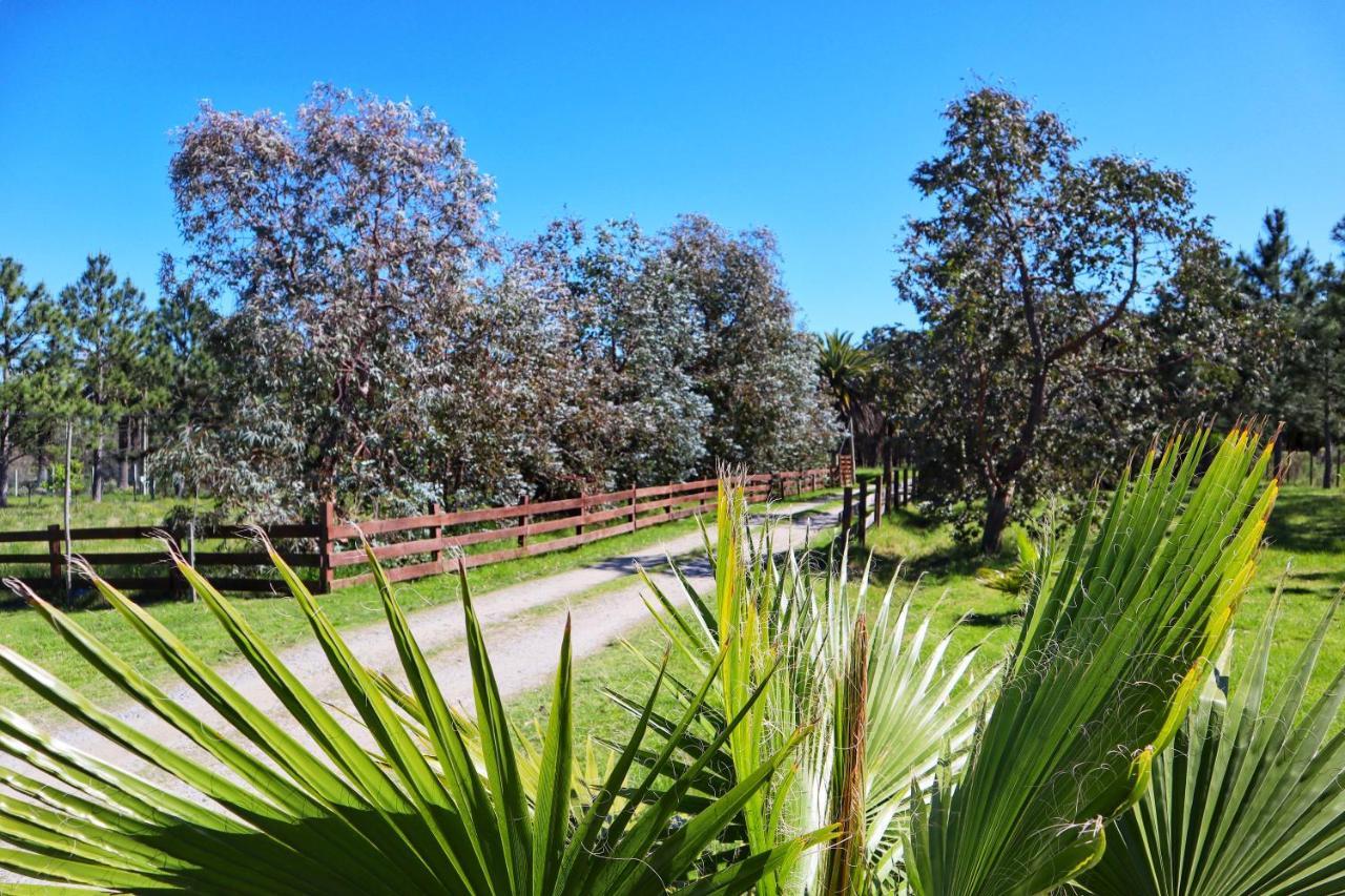 Casa De Campo Lo De Fatsia Colonia del Sacramento Zewnętrze zdjęcie