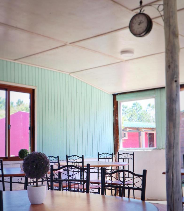 Casa De Campo Lo De Fatsia Colonia del Sacramento Zewnętrze zdjęcie