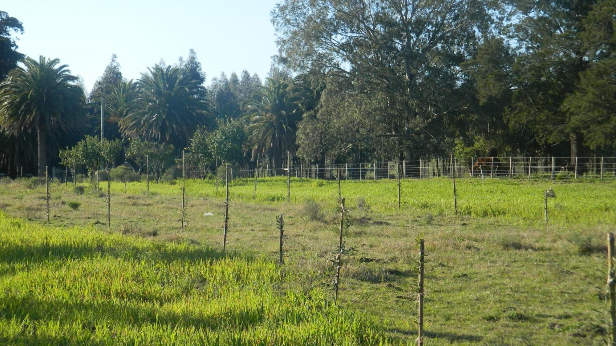 Casa De Campo Lo De Fatsia Colonia del Sacramento Pokój zdjęcie